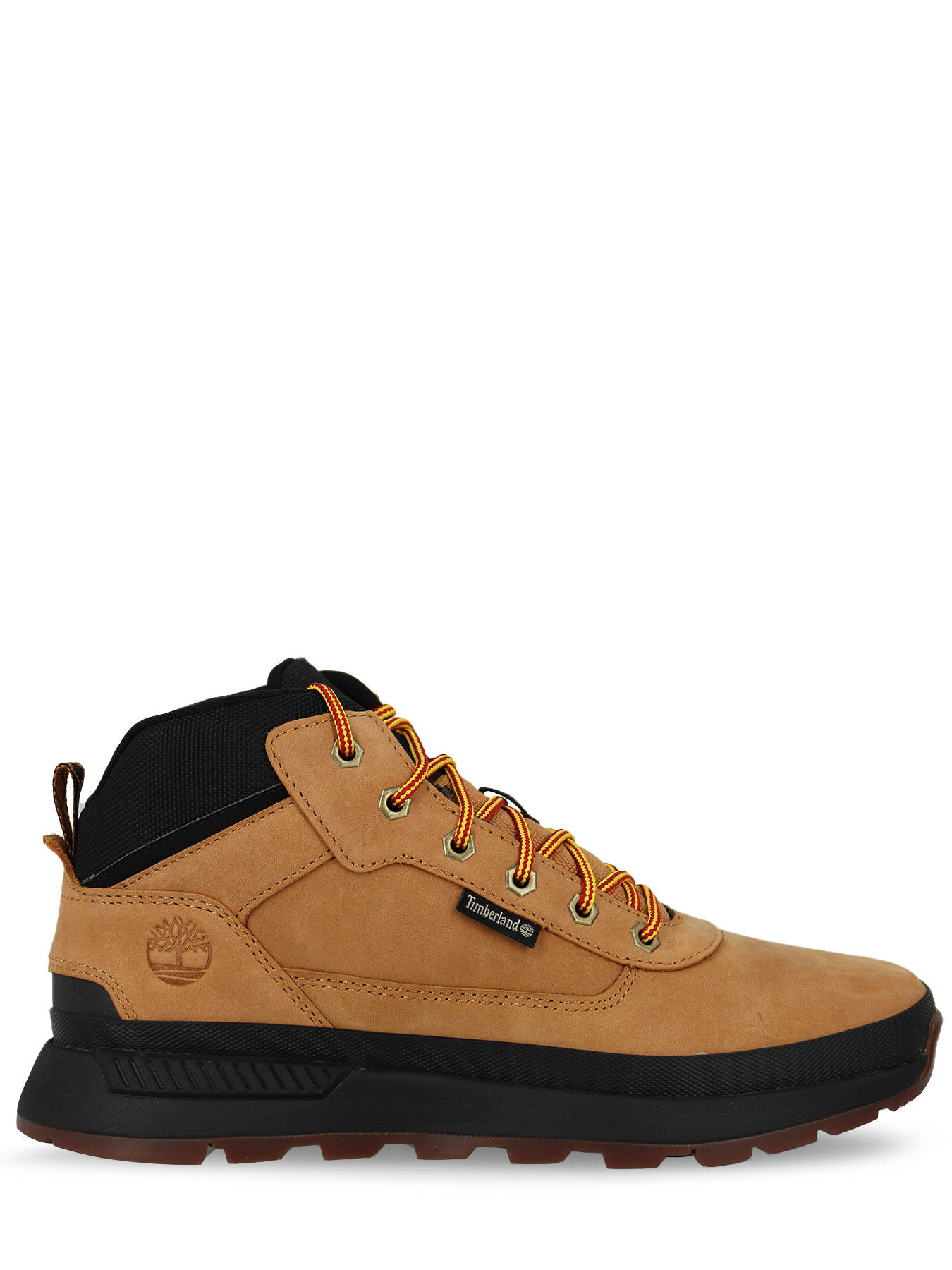 Sneakers Timberland FIELD TREKKER op edisac.be