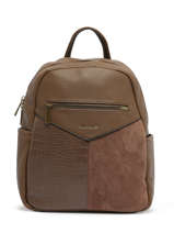 Rugzak David jones Bruin cobra 4