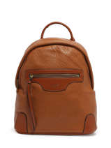 Rugzak David jones Bruin bubble 4