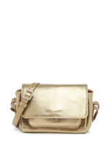 Sac Bandoulire Diane  Xs Paul marius Or vintage DIANEXS