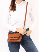 Sac Bandoulire Diane  Xs Paul marius Marron vintage DIANEXS-vue-porte