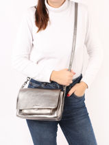 Sac Bandoulire Diane S Paul marius Gris vintage DIANES-vue-porte