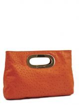 michael kors pochette berkley