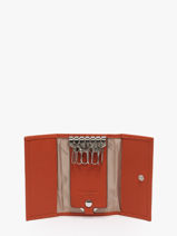 Sleutelhanger Leder Hexagona Oranje confort 460609-vue-porte