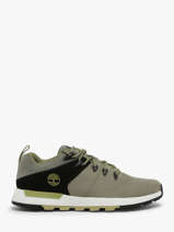 Sneakers Timberland Groen men 6ABREX11