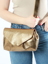 Sac Suzon M Cuir Paul marius Or vintage M-vue-porte