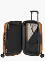 Handbagage Samsonite Goud proxis 140087-vue-porte