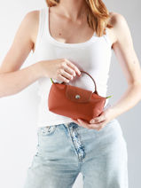Longchamp Le pliage green Pochette Marron-vue-porte
