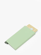 Porte-cartes Secrid Vert powder CP-vue-porte