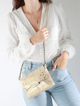Sac Bandoulire Felizia Cuir Pieces Or felizia 17116820-vue-porte