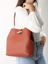 Longchamp Le roseau Besace Marron-vue-porte