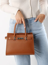 Sac  Main Caviar Cuir Milano Marron caviar CA24063-vue-porte