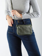Sac Bandoulire Leather Cuir Biba Vert leather BET6L-vue-porte