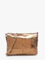 Sac Bandoulire Felizia Cuir Pieces Or felizia 17116820