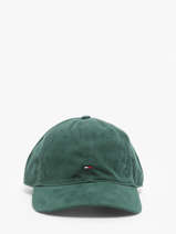 Pet Tommy hilfiger Groen th flag AM12531