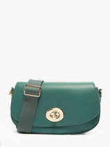 Cross Body Tas Paris David jones Groen paris CM7104