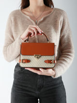 Sac Bandoulire Cr Miniprix Marron cr R1941-vue-porte