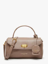 Sac � Main Donna Grace Cuir Lancaster Gris donna grace 73