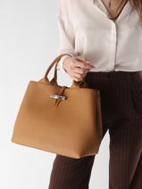 Longchamp Le roseau Sac port main Marron-vue-porte