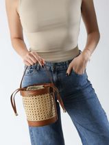 Sac  Main Cannage Rotin Cannage Lancaster Marron cannage rotin 113-vue-porte