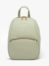 Sac  Dos David jones Vert amsterdam CM7325