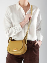 Sac Bandoulire Paulette Cuir Lancel Vert paulette A13330-vue-porte