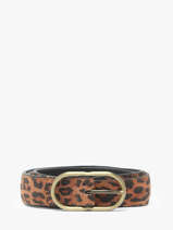 Ceinture Pieces Multicolore onja 17156746