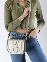 Cross Body Tas Ld Bags Laurent david Goud ld bags 893-vue-porte