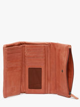 Portefeuille Leder Biba Bruin wallet TOT2L-vue-porte