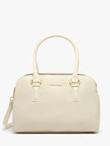 Sac  Main Alpes David jones Beige alpes CM6827H