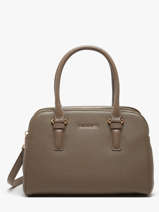 Sac  Main Alpes David jones Marron alpes CM6827H
