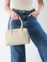 Sac  Main Alpes David jones Beige alpes CM6827H-vue-porte