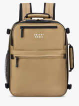 Sac  Dos Business Delsey Beige maubert 2.0 3813640W