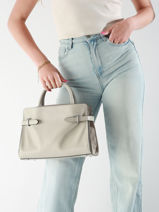 Handtas Emie Leder Le tanneur Grijs emie TEMI16M1-vue-porte