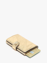 Kaarthouder Mini Wallet Crunch Leder Secrid Goud crunch MCR-vue-porte