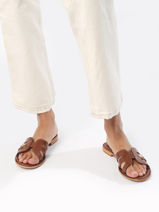 Slippers Damia Uit Leder Les tropeziennes Bruin women DAMIA-vue-porte