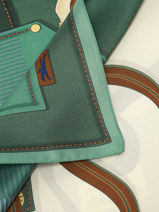 Longchamp Soie gots Foulard Groen-vue-porte