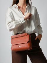 Sac Bandoulire Ninon Cuir Lancel Marron ninon A13782-vue-porte