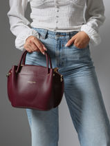Sac  Main Foulonne Double Cuir Lancaster Rouge foulonne double 18-vue-porte