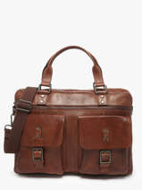 Documententas Basilic pepper Bruin traveler hillowca