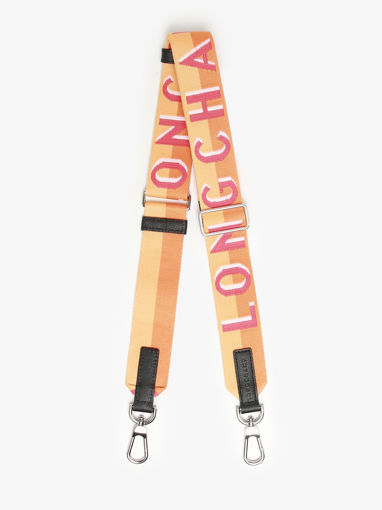 Longchamp Bandoulire ombre Bijoux Multicolore