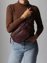 Sac Banane Torrow Violet plum TPLU05-vue-porte