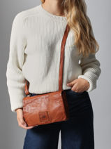 Sac Bandoulire Heritage Cuir Biba Marron heritage BT33-vue-porte