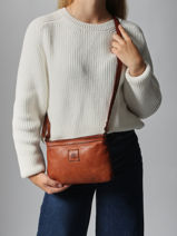 Sac Bandoulire Heritage Biba Marron heritage BT37-vue-porte