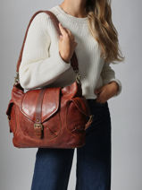 Sac Port paule Heritage Cuir Biba Marron heritage CLT1L-vue-porte