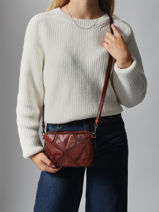 Schoudertas Heritage Leder Biba Bruin heritage DON1L-vue-porte