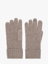 Gants Cachemire Vercors  Etrier Beige vercors EVER429U