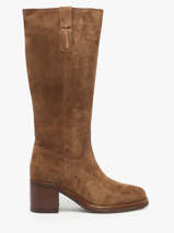Bottes  Talon En Cuir Alpe Marron women 53541103