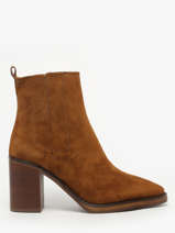 Bottines  Talon En Cuir Alpe Marron women 54511101