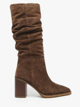 Bottes  Talon En Cuir Alpe Marron women 52191133